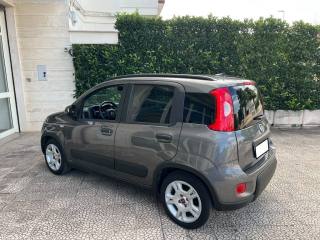 FIAT Panda usata 24