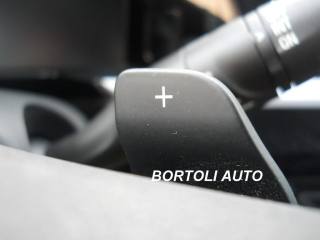 OPEL Grandland usata, con Autoradio digitale