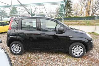 FIAT Panda usata, con USB