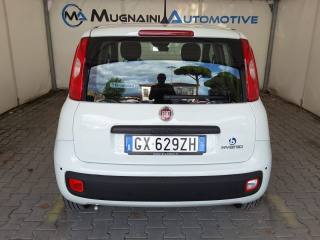 FIAT Panda usata, con Immobilizzatore elettronico