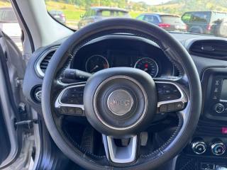 JEEP Renegade usata, con Cruise Control