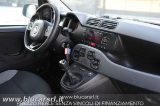 FIAT Panda usata 9