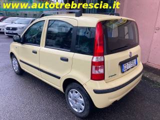 FIAT Panda usata, con Climatizzatore