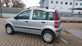 FIAT Panda usata 21