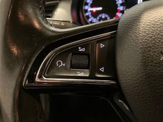 SKODA Fabia usata 16