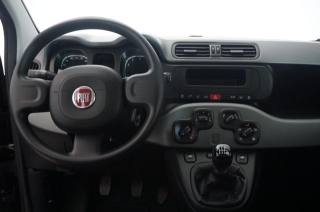 FIAT Panda usata 18