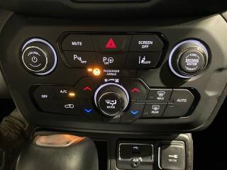 JEEP Renegade usata 19