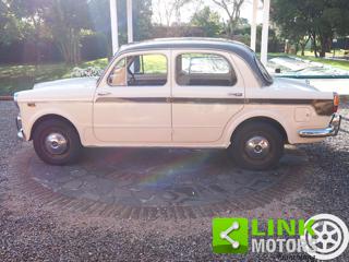 FIAT 1100 usata 7
