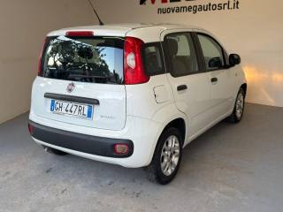 FIAT Panda usata, con Autoradio