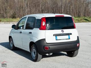 FIAT Panda usata 14