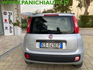 FIAT Panda usata, con Alzacristalli elettrici