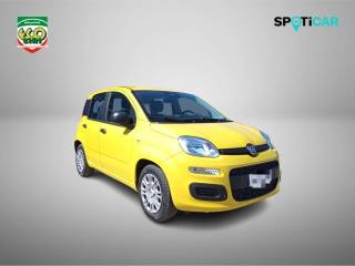 FIAT Pandina usata, con Airbag laterali