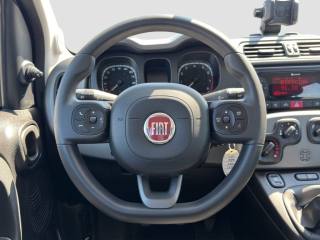 FIAT Panda usata 12