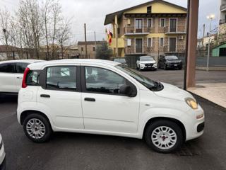 FIAT Panda usata, con Alzacristalli elettrici
