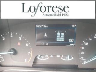 FORD Fiesta usata, con Fendinebbia