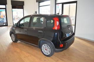 FIAT Panda usata, con Airbag Passeggero