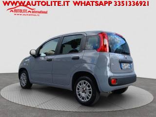 FIAT Panda usata, con Airbag Passeggero