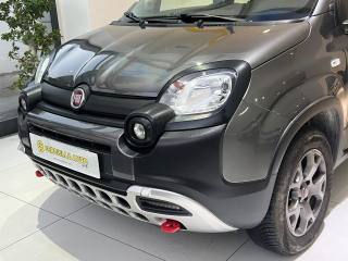 FIAT Panda Cross usata, con Airbag