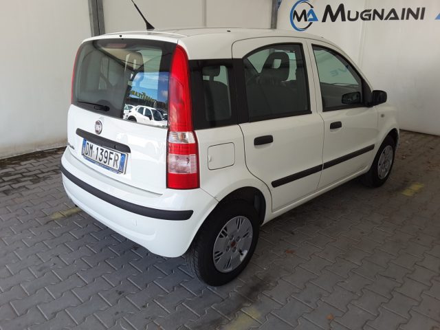 FIAT Panda usata 12