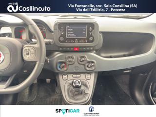 FIAT Panda usata, con Fendinebbia