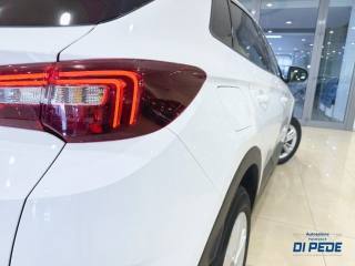 OPEL Grandland X usata, con Cronologia tagliandi