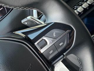 PEUGEOT 3008 usata, con Sedile posteriore sdoppiato