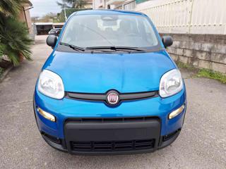FIAT Panda usata, con Alzacristalli elettrici