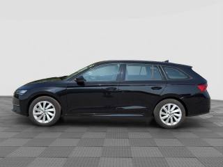 SKODA Octavia usata 1