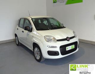 FIAT Panda usata 18