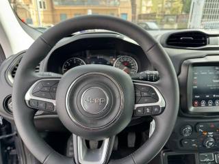 JEEP Renegade usata, con ESP