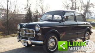 FIAT 1100 usata 63