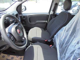 FIAT Panda usata 18