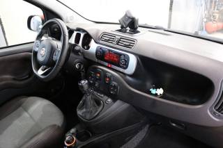 FIAT Panda Cross usata, con Trazione integrale