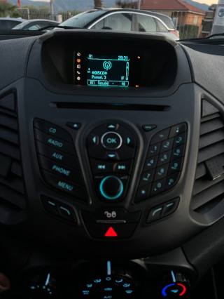 FORD EcoSport usata, con Boardcomputer