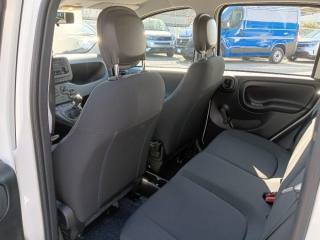 FIAT Panda usata, con Vivavoce