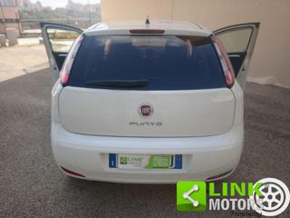 FIAT Punto usata 18