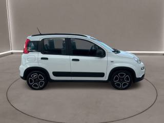 FIAT Panda usata, con Climatizzatore
