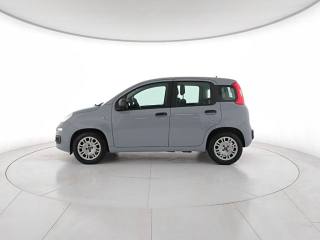 FIAT Panda usata, con Airbag Passeggero