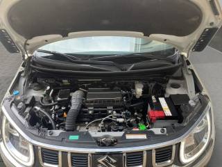 SUZUKI Ignis usata, con Hill holder