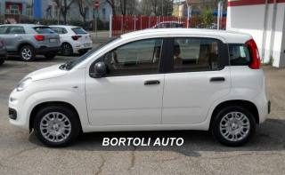 FIAT Panda usata, con Airbag Passeggero