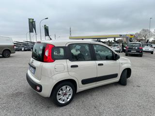 FIAT Panda usata, con Alzacristalli elettrici