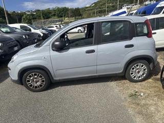 FIAT Panda usata, con Antifurto