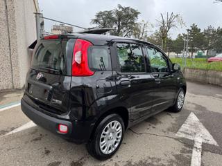 FIAT Panda usata, con Airbag Passeggero