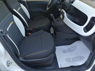 FIAT Panda usata, con Fendinebbia