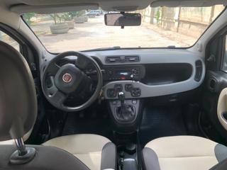 FIAT Panda usata 11