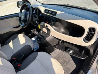 FIAT Panda usata, con Controllo trazione