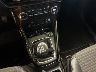 FORD EcoSport usata, con Volante in pelle