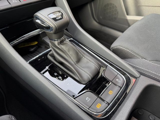 SKODA Karoq usata, con Cruise Control