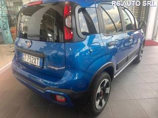 FIAT Panda Cross usata, con Antifurto
