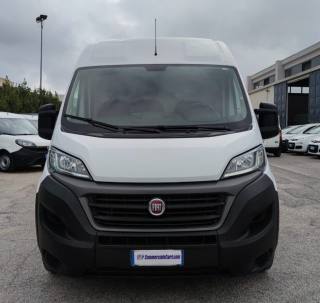 FIAT  usata 7